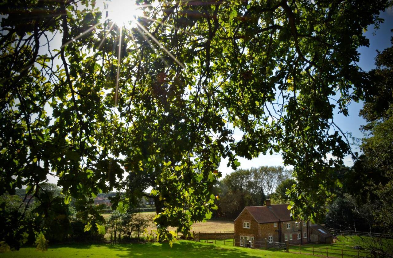 Rural Coastal Self-Catering Accommodation For 8, Near Sandringham Estate, Norfolk Ingoldisthorpe Exterior foto